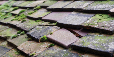 Harwich roof repair costs